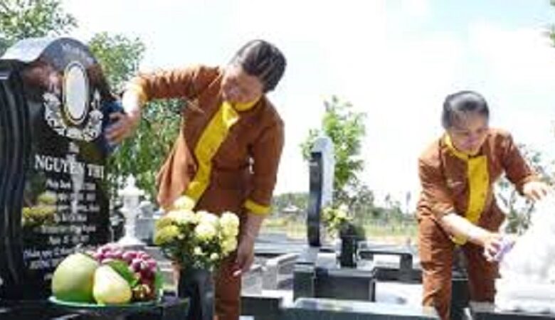Mẫu Mộ Đơn Đẹp